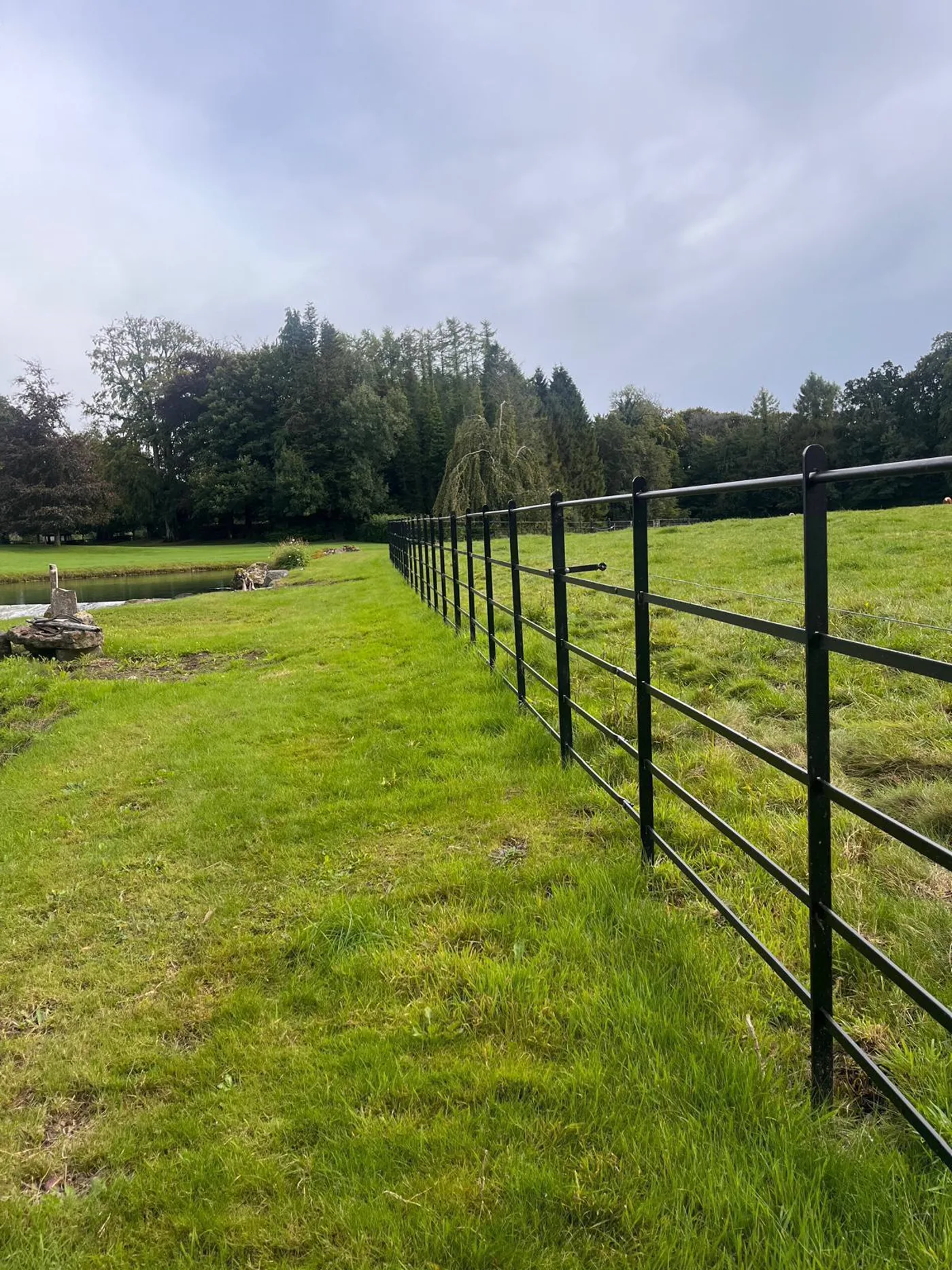 Newly installed black estate railing fencing running along a lawn and pond